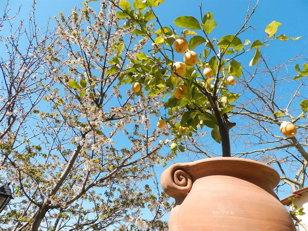 Bacio Del Sole B&B Positano Exterior photo